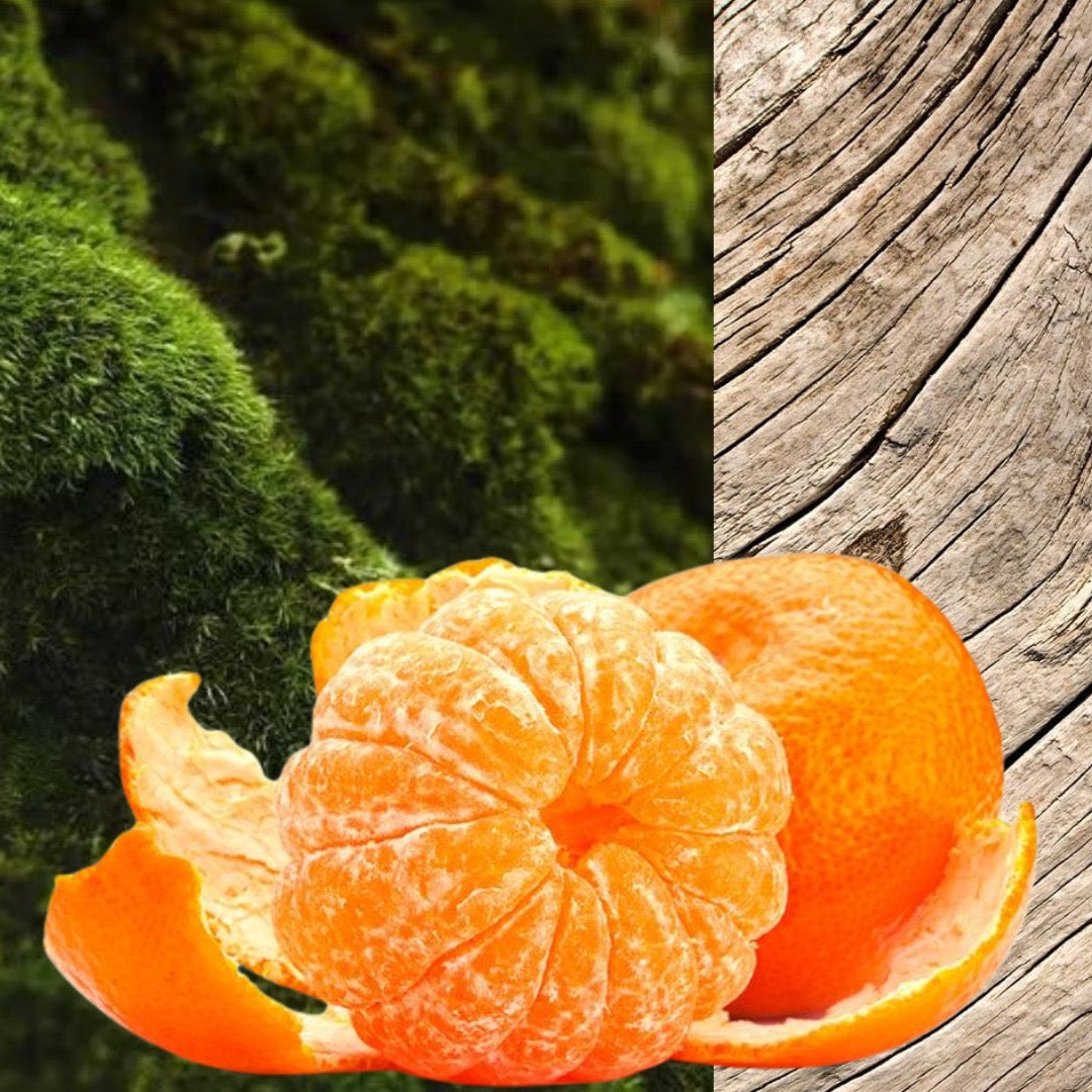 Oakmoss + Mandarine