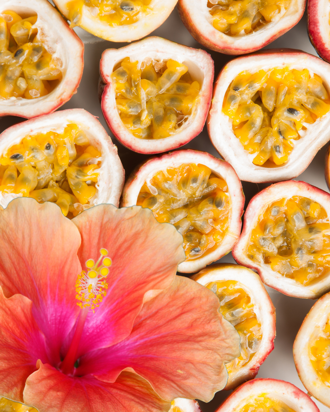 Hibiscus + Passionfruit